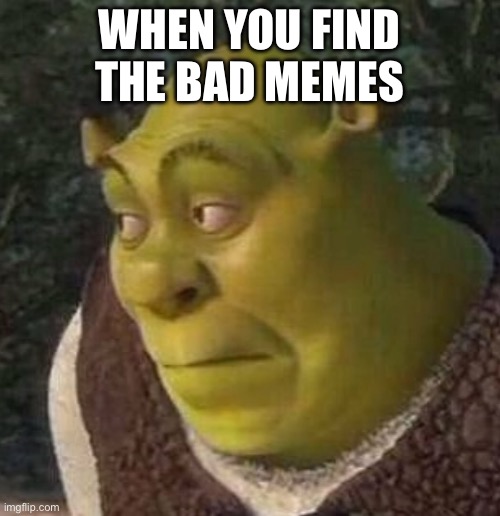 Shrek | WHEN YOU FIND THE BAD MEMES | image tagged in shrek | made w/ Imgflip meme maker