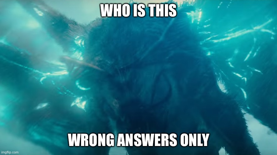 Monsterverse Mothra | WHO IS THIS; WRONG ANSWERS ONLY | image tagged in monsterverse mothra,mothra,godzilla vs kong,godzilla | made w/ Imgflip meme maker