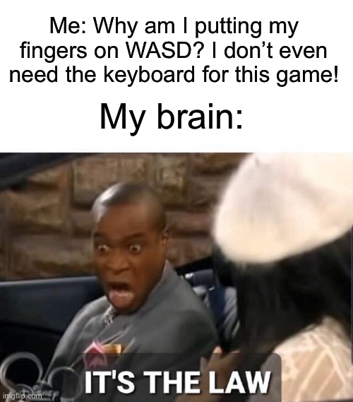 Literally me when the |  Me: Why am I putting my fingers on WASD? I don’t even need the keyboard for this game! My brain: | image tagged in it's the law,pc gaming,why are you reading this,stop reading the tags,amogus | made w/ Imgflip meme maker