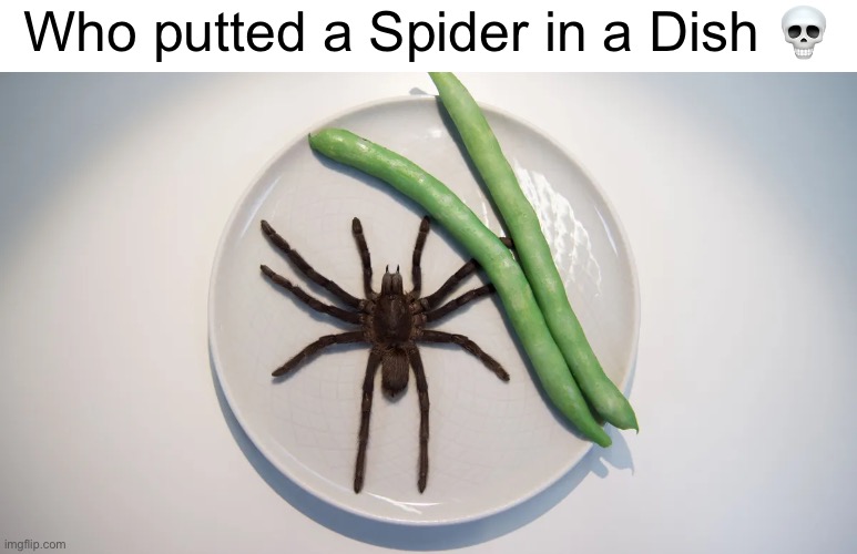 Who putted a Spider in a Dish ? | Who putted a Spider in a Dish 💀 | image tagged in wtf,spider,food,gross,memes,disgusting | made w/ Imgflip meme maker