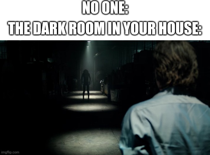 Very scary | NO ONE:; THE DARK ROOM IN YOUR HOUSE: | image tagged in scary hallway | made w/ Imgflip meme maker