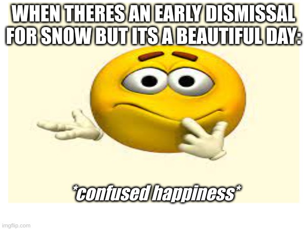 Im just gonna not ask questions and be happy | WHEN THERES AN EARLY DISMISSAL FOR SNOW BUT ITS A BEAUTIFUL DAY:; *confused happiness* | image tagged in funny | made w/ Imgflip meme maker