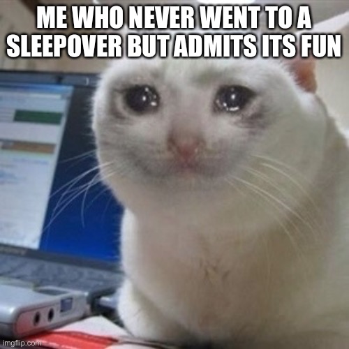 Crying cat | ME WHO NEVER WENT TO A SLEEPOVER BUT ADMITS ITS FUN | image tagged in crying cat | made w/ Imgflip meme maker