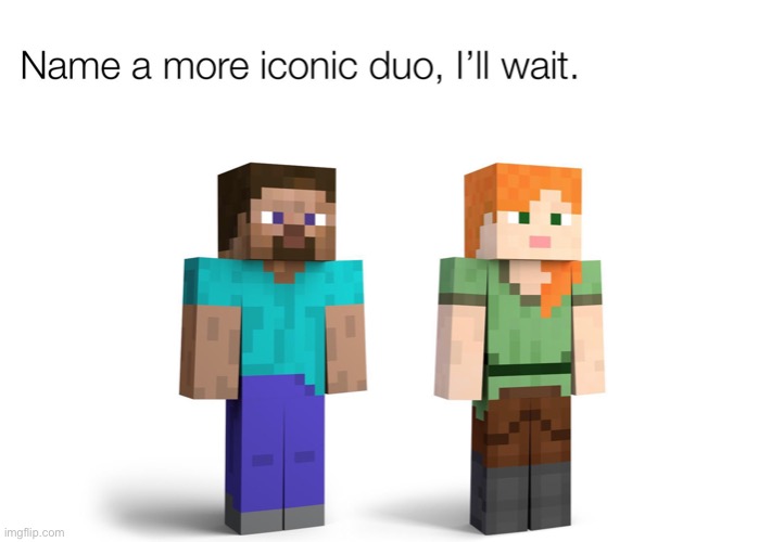 image tagged in minecraft,minecraft memes,name a more iconic duo,memes,funny,gaming | made w/ Imgflip meme maker