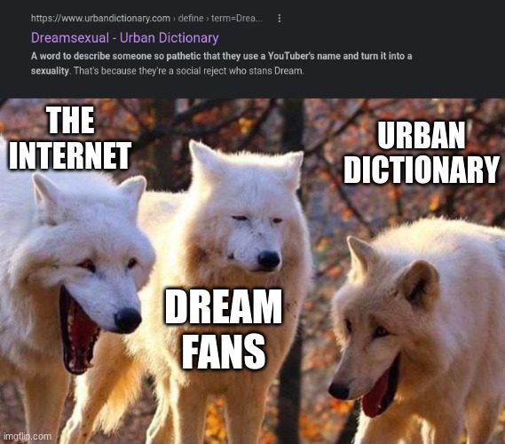 don't trust me google dream sexual. | THE INTERNET; URBAN DICTIONARY; DREAM FANS | image tagged in laughing wolf | made w/ Imgflip meme maker