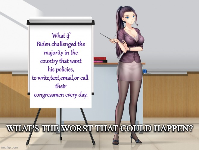 what's the worst that could happen | What if Biden challenged the majority in the country that want his policies, to write,text,email,or call 
their congressmen every day. WHAT'S THE WORST THAT COULD HAPPEN? | image tagged in hot anime lady presentation fixed textboxes | made w/ Imgflip meme maker