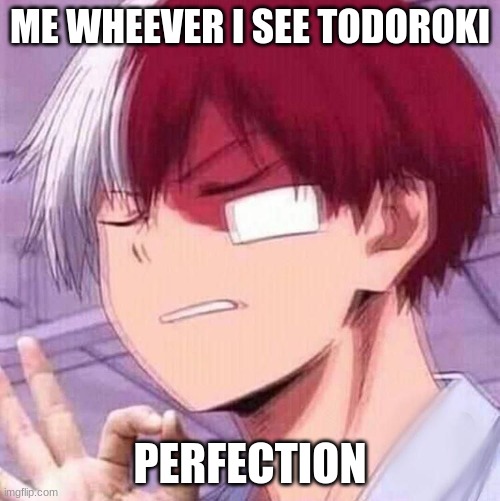 Todoroki | ME WHEEVER I SEE TODOROKI; PERFECTION | image tagged in todoroki | made w/ Imgflip meme maker