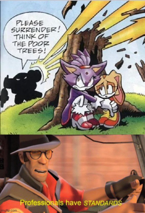 I swear this isn't a repost, if someone made an identical (or the exact same) meme then I had no idea | image tagged in sonic,tf2 | made w/ Imgflip meme maker