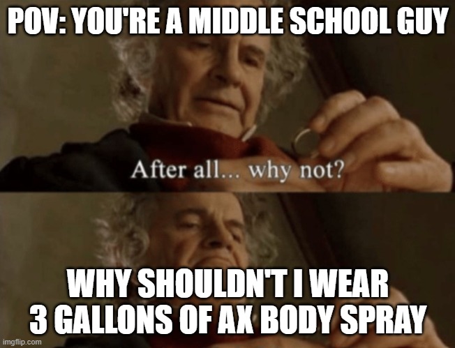 After all.. why not? | POV: YOU'RE A MIDDLE SCHOOL GUY; WHY SHOULDN'T I WEAR 3 GALLONS OF AX BODY SPRAY | image tagged in after all why not | made w/ Imgflip meme maker