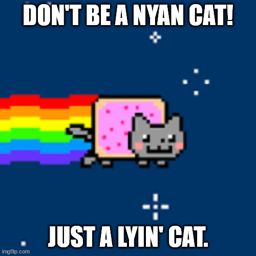 DON'T BE A NYAN CAT! JUST A LYIN' CAT. | image tagged in nyan cat,rainbow | made w/ Imgflip meme maker