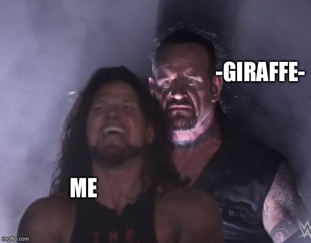 undertaker | -GIRAFFE-; ME | image tagged in undertaker | made w/ Imgflip meme maker