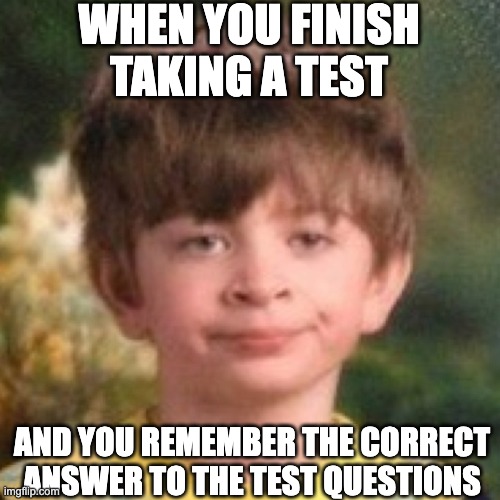 test | WHEN YOU FINISH TAKING A TEST; AND YOU REMEMBER THE CORRECT ANSWER TO THE TEST QUESTIONS | image tagged in annoyed face,test | made w/ Imgflip meme maker