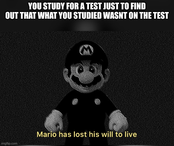 [text goes here] | YOU STUDY FOR A TEST JUST TO FIND OUT THAT WHAT YOU STUDIED WASNT ON THE TEST | image tagged in mario has lost his will to live,fun,funny,meme,school,school sucks | made w/ Imgflip meme maker