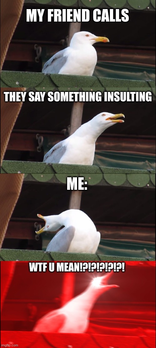 Wado u mean!!?!? | MY FRIEND CALLS; THEY SAY SOMETHING INSULTING; ME:; WTF U MEAN!?!?!?!?!?! | image tagged in memes,inhaling seagull | made w/ Imgflip meme maker