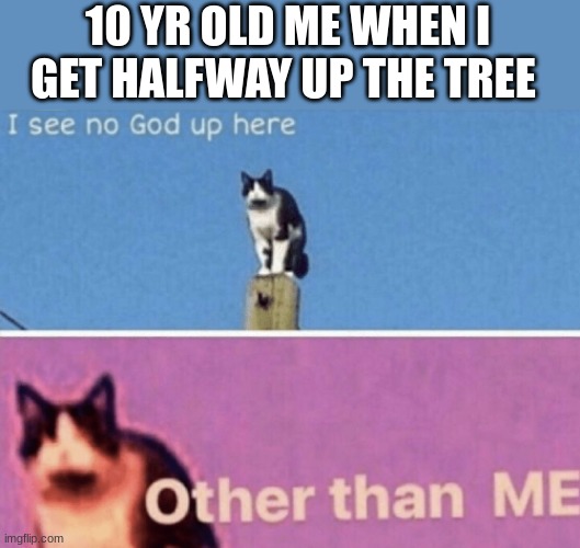 BTW the tree wasn't even that big but it was still like 20 feet tall | 10 YR OLD ME WHEN I GET HALFWAY UP THE TREE | image tagged in i see no god up here other than me,tree,past | made w/ Imgflip meme maker