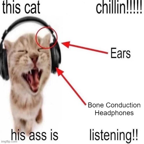 Bone Conduction
Headphones | made w/ Imgflip meme maker