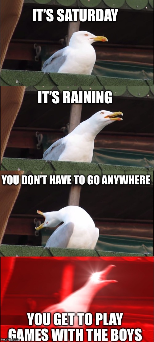 This is nice | IT’S SATURDAY; IT’S RAINING; YOU DON’T HAVE TO GO ANYWHERE; YOU GET TO PLAY GAMES WITH THE BOYS | image tagged in memes,inhaling seagull | made w/ Imgflip meme maker