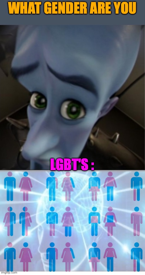 bruh wtf invented these genders | WHAT GENDER ARE YOU; LGBT'S : | image tagged in megamind peeking,genders,stupid,funny,lol | made w/ Imgflip meme maker