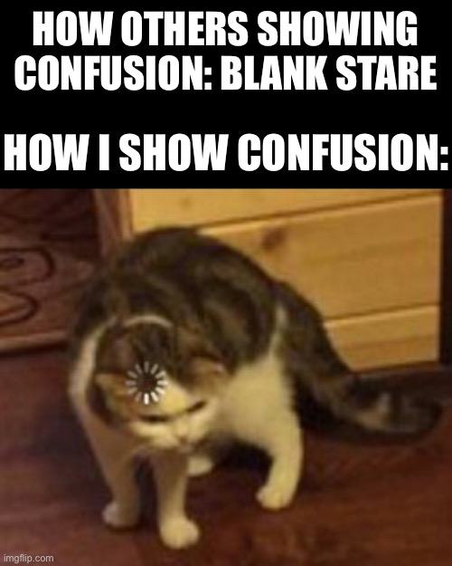 It does happen | HOW OTHERS SHOWING CONFUSION: BLANK STARE; HOW I SHOW CONFUSION: | image tagged in loading cat,funny,school,memes | made w/ Imgflip meme maker