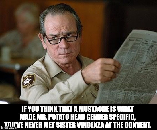 Gender confusion for toy manufacturers | IF YOU THINK THAT A MUSTACHE IS WHAT MADE MR. POTATO HEAD GENDER SPECIFIC, YOU'VE NEVER MET SISTER VINCENZA AT THE CONVENT. | image tagged in really | made w/ Imgflip meme maker
