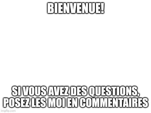 Bienvenue | BIENVENUE! SI VOUS AVEZ DES QUESTIONS, POSEZ LES MOI EN COMMENTAIRES | image tagged in francais | made w/ Imgflip meme maker