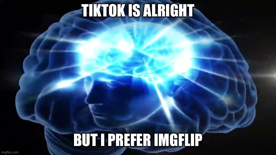 But you didn't have to cut me off | TIKTOK IS ALRIGHT BUT I PREFER IMGFLIP | image tagged in but you didn't have to cut me off | made w/ Imgflip meme maker