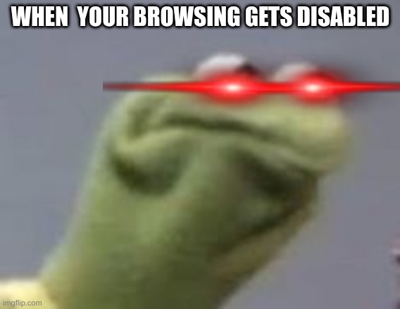 Kirmets angry face | WHEN  YOUR BROWSING GETS DISABLED | image tagged in kirmets angry face,angry | made w/ Imgflip meme maker