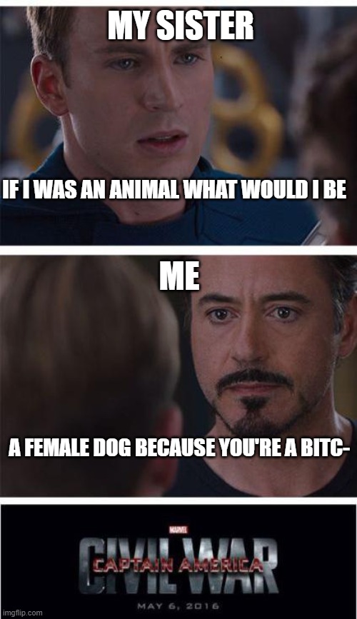 This actually happened, I got my ahh whooped | MY SISTER; IF I WAS AN ANIMAL WHAT WOULD I BE; ME; A FEMALE DOG BECAUSE YOU'RE A BITC- | image tagged in memes,marvel civil war 1,siblings,funny,civil war | made w/ Imgflip meme maker