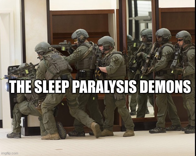 FBI SWAT | THE SLEEP PARALYSIS DEMONS | image tagged in fbi swat | made w/ Imgflip meme maker