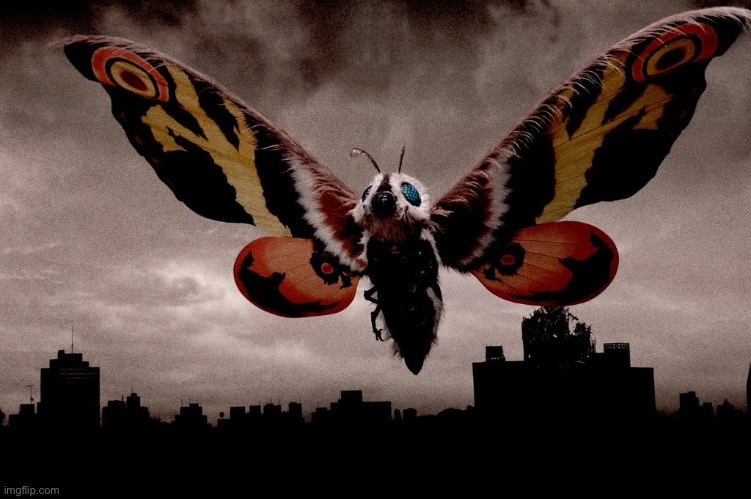 Mothra | image tagged in mothra | made w/ Imgflip meme maker