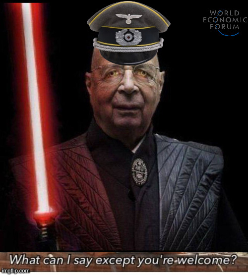 image tagged in wef klaus schwab,what can i say except you're welcome | made w/ Imgflip meme maker