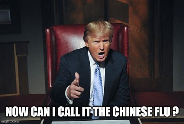 Donald Trump You're Fired | NOW CAN I CALL IT THE CHINESE FLU ? | image tagged in donald trump you're fired | made w/ Imgflip meme maker