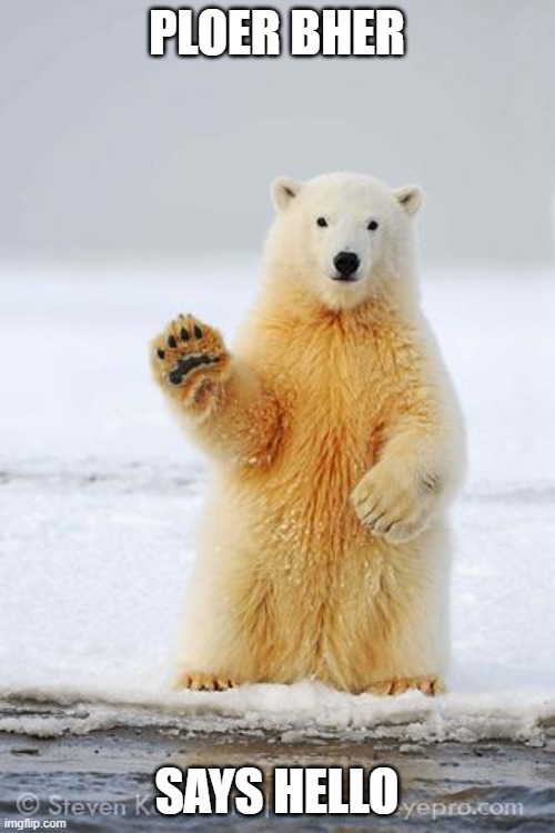 hello polar bear | PLOER BHER SAYS HELLO | image tagged in hello polar bear | made w/ Imgflip meme maker