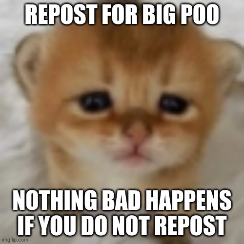big poo | REPOST FOR BIG POO; NOTHING BAD HAPPENS IF YOU DO NOT REPOST | image tagged in big poo | made w/ Imgflip meme maker