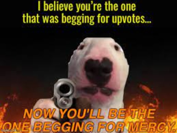 YOU BEG FOR UPVOTES!? | image tagged in you beg for upvotes | made w/ Imgflip meme maker