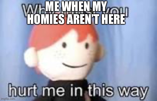 Anyone who finds this relatable? | ME WHEN MY HOMIES AREN’T HERE | image tagged in why must you hurt me in this way | made w/ Imgflip meme maker
