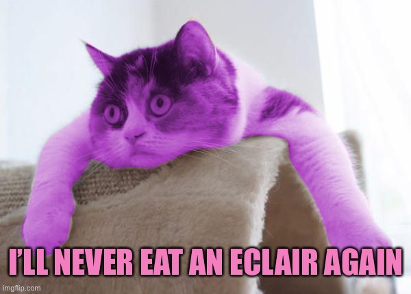 RayCat Stare | I’LL NEVER EAT AN ECLAIR AGAIN | image tagged in raycat stare | made w/ Imgflip meme maker