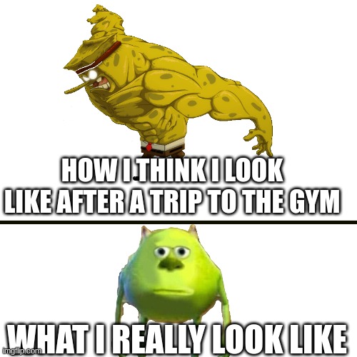so true | HOW I THINK I LOOK LIKE AFTER A TRIP TO THE GYM; WHAT I REALLY LOOK LIKE | image tagged in strong,gym | made w/ Imgflip meme maker