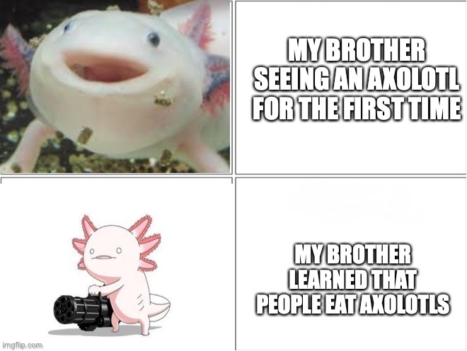 More-or-less accurate | MY BROTHER SEEING AN AXOLOTL FOR THE FIRST TIME; MY BROTHER LEARNED THAT PEOPLE EAT AXOLOTLS | image tagged in axolotl,little brother,fun | made w/ Imgflip meme maker