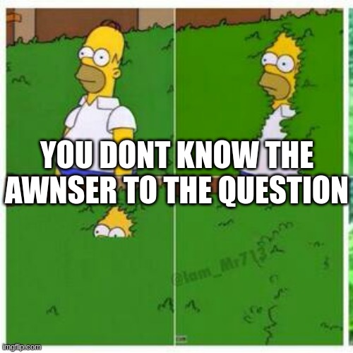 Homer hides | YOU DONT KNOW THE AWNSER TO THE QUESTION | image tagged in homer hides | made w/ Imgflip meme maker