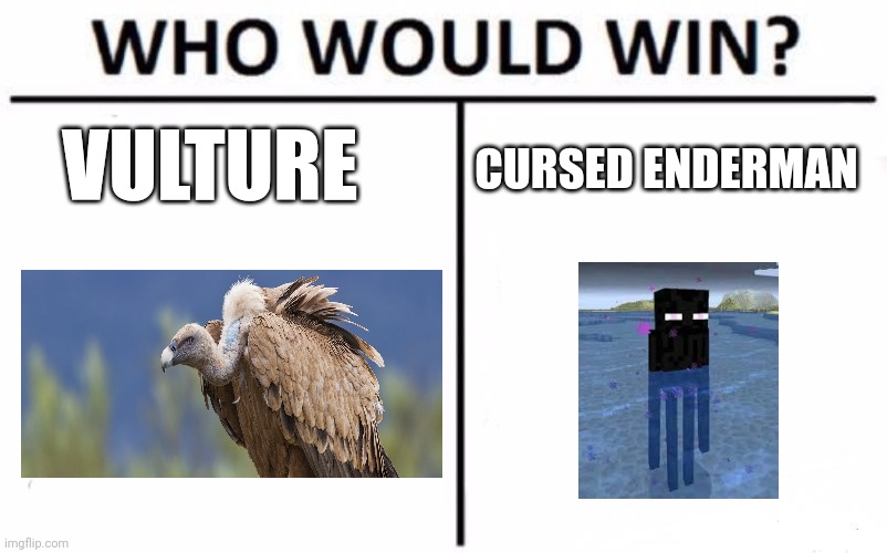 Vulture vs enderman | VULTURE; CURSED ENDERMAN | image tagged in memes,who would win | made w/ Imgflip meme maker