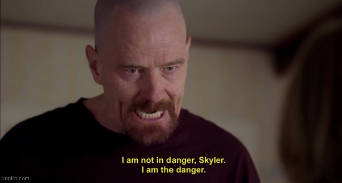 Me when my mom says to stop visiting shady websites online | image tagged in i am not in danger skyler i am the danger | made w/ Imgflip meme maker