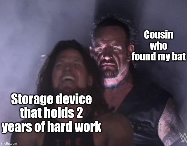 My cousin who found a bat | Cousin who found my bat; Storage device that holds 2 years of hard work | image tagged in undertaker | made w/ Imgflip meme maker