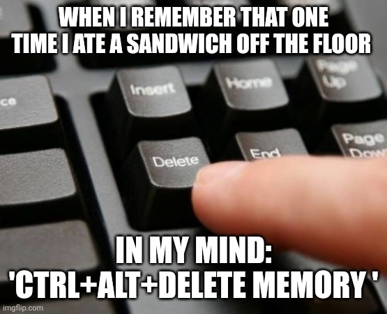 The only time I ate a sandwich off the floor | WHEN I REMEMBER THAT ONE TIME I ATE A SANDWICH OFF THE FLOOR; IN MY MIND: 'CTRL+ALT+DELETE MEMORY ' | image tagged in delete | made w/ Imgflip meme maker