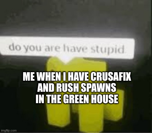 rush is stupid | ME WHEN I HAVE CRUSAFIX
AND RUSH SPAWNS
IN THE GREEN HOUSE | image tagged in do you are have stupid | made w/ Imgflip meme maker