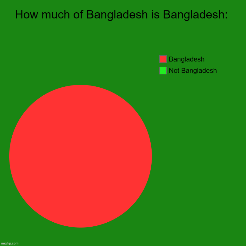 First Japan, now Bangladesh... not in the fun stream because i have to wait 13 hours :/ | How much of Bangladesh is Bangladesh: | Not Bangladesh, Bangladesh | image tagged in charts,pie charts | made w/ Imgflip chart maker