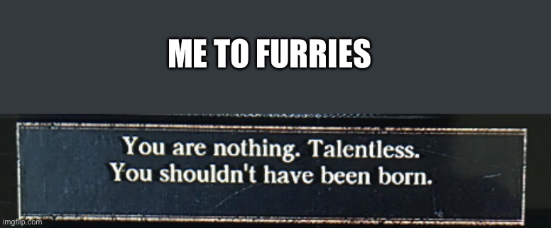 you are nothing | ME TO FURRIES | image tagged in you are nothing | made w/ Imgflip meme maker