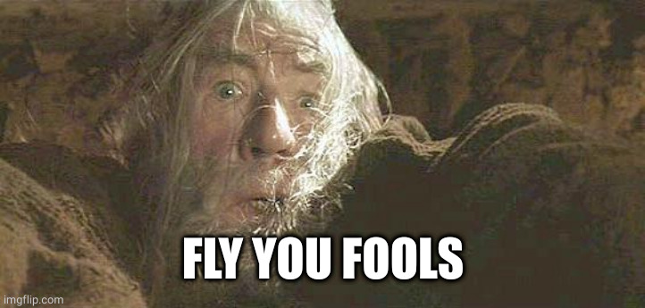 Gandalf Fly You Fools | FLY YOU FOOLS | image tagged in gandalf fly you fools | made w/ Imgflip meme maker