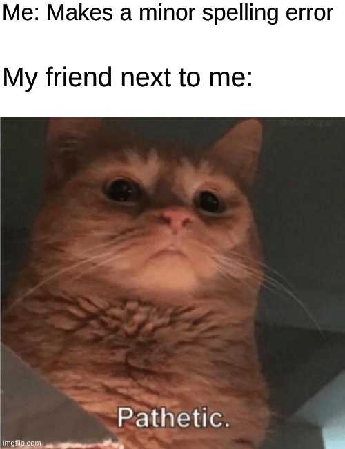 Stop judgeing me! | Me: Makes a minor spelling error; My friend next to me: | image tagged in memes,pathetic cat,relatable | made w/ Imgflip meme maker