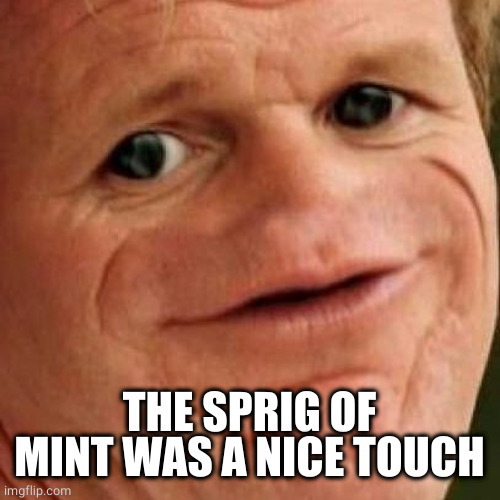SOSIG | THE SPRIG OF MINT WAS A NICE TOUCH | image tagged in sosig | made w/ Imgflip meme maker